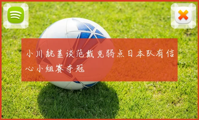 小川航基谈范戴克弱点日本队有信心小组赛夺冠