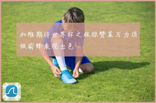 加维期待世界杯之旅称赞莱万为顶级前锋表现出色