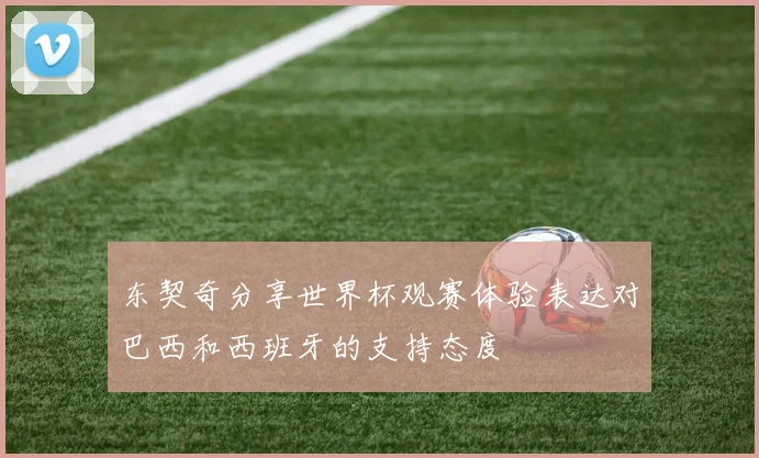 东契奇分享世界杯观赛体验表达对巴西和西班牙的支持态度